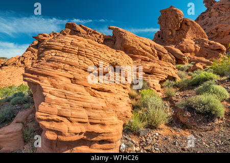 Formazioni rocciose di arenaria a Redstone Trail, zona di Northshore Road, Lake Mead National Recreation Area, Nevada, USA Foto Stock