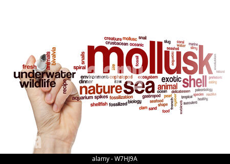 Mollusco word cloud Foto Stock
