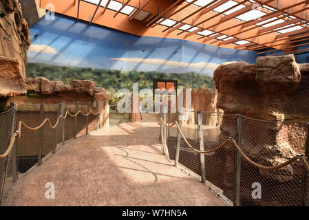 Wroclaw, Polonia - 17 Luglio 2019: Interno del moderno Africarium a Wroclaw Zoo. Foto Stock