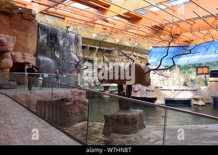 Wroclaw, Polonia - 17 Luglio 2019: Interno del moderno Africarium a Wroclaw Zoo. Foto Stock