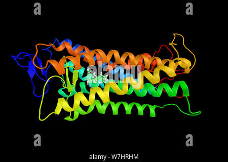 Blu-opsin sensibili è una proteina che negli esseri umani è codificato dal OPN1SW gene. Importante per le umane la visione dei colori. Il rendering 3d. Foto Stock