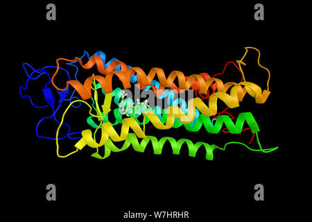 Rosso-opsin sensibili, una proteina. Il suo nome come 'red' opsin riflette il fatto che è più sensibile al rosso rispetto agli altri due opsins umana. 3d ren Foto Stock