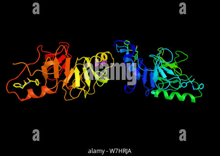 Neurophysin II, una proteina di supporto noto anche come stimolatore della secrezione di prolattina. Il rendering 3d. Foto Stock