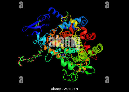 La cicloossigenasi 1, l'enzima centrale nel percorso di biosintesi di prostaglandine da acido arachidonico. Il rendering 3d. Foto Stock