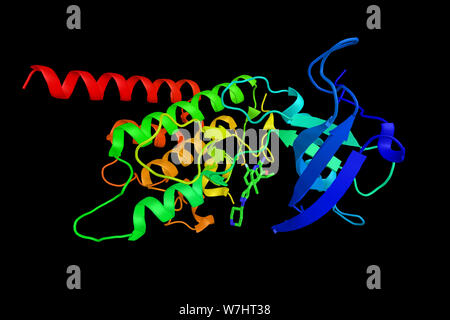 Proto-oncogeni tirosina chinasi di proteina ROS, un enzima che è un proto-oncogene, altamente espresso in una varietà di linee cellulari tumorali. Il rendering 3d. Foto Stock