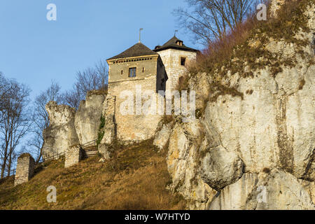 Ojcow, Polonia- 03 Gennaio 2014: la vista delle rovine del castello di Ojcow, parte di un sistema di castelli conosciuti come l'Aquila nidi. Foto Stock