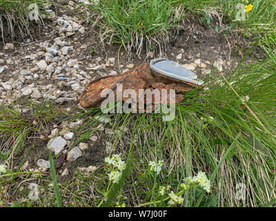In prossimità di un vecchio arrugginito può nel mezzo di erba Foto Stock