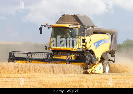 New Holland CX8040 Mietitrebbia il taglio di un campo di Swillington,Leeds. Foto Stock