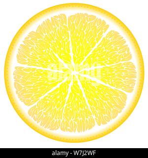 Limone nel taglio close up, agrumi Illustrazione Vettoriale
