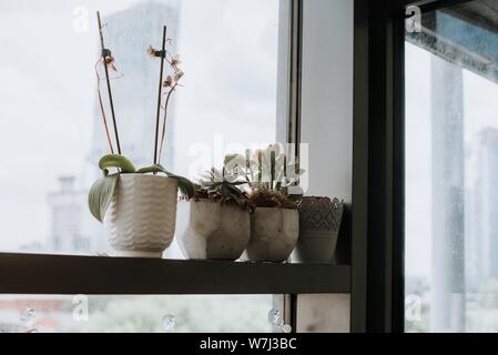 Ampio shot di quattro pentole in ceramica su un davanzale della finestra Foto Stock