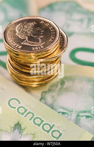 Pila del canadese un dollaro monete sulla parte superiore della Canadian Dollar venti banconote con il ritratto della regina Elisabetta II, Studio Composizione, Canada Foto Stock