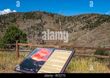 Soggiorno con camino display sul ciglio della strada si affaccia il piccolo orso fuoco bruci cicatrice, forest fire, wildfire vicino a Ruidoso, Lincoln National Forest, Nuovo Messico. Foto Stock