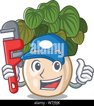 Plumber peperomia con in forma di cartoni animati Illustrazione Vettoriale