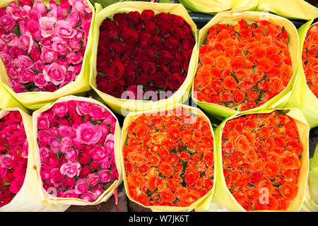 Le rose sul mercato dei fiori a Bangkok, in Thailandia Foto Stock