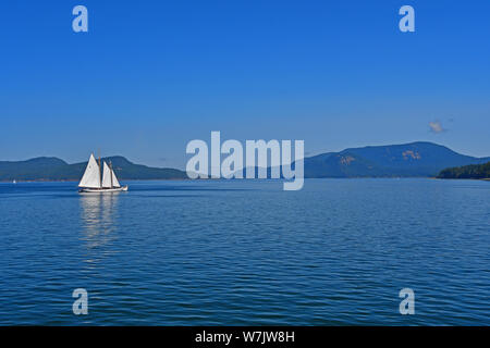 Una barca a vela veli le acque dei Salish mare al largo di San Juan Islands nello Stato di Washington, USA Foto Stock