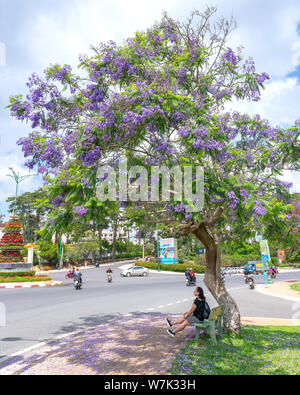 La bambina seduta sul banco accanto alla struttura Jacaranda parenti attendere a un angolo di strada in Da Lat, Vietnam Foto Stock