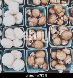 I funghi freschi di verdura sfondo dal top bianco e marrone di funghi champignon in piccole scatole presso il mercato degli agricoltori Foto Stock