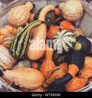 Decorativo colorato mini zucca zucca e delle stagioni autunno autunno sfondo del Ringraziamento Foto Stock