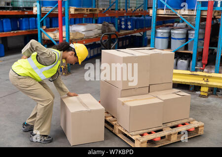 Personale femminile soffre di dolori alla schiena tenendo pesante scatola di cartone Foto Stock