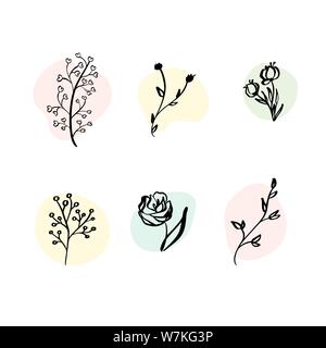 Insieme vettoriale elementi botanici fiori selvatici, erbe. Giardino di raccolta e fogliame selvatico, fiori, rami. Illustrazione piante isolate su bianco Illustrazione Vettoriale