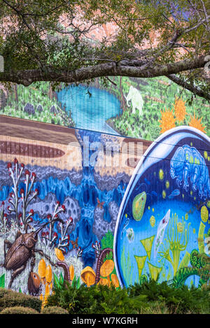 Murale dipinto da Shaun Thurston al MSH (Museum of Science & History) nel centro di Jacksonville, Florida. (USA) Foto Stock