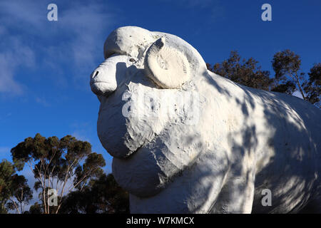 The Big RAM 'Baart' a Wagin, WA Foto Stock