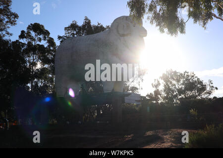 The Big RAM 'Baart' a Wagin, WA Foto Stock