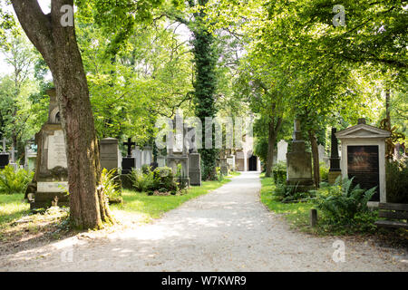 Un sentiero conduce attraverso l'Alter Südfriedhof cimitero in Glockenbachviertel area di Monaco di Baviera, in Germania, in un giorno di estate. Foto Stock