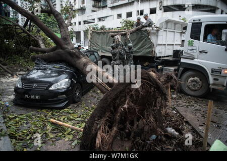 Soldati cinesi del PLA (Popolo della Esercito di Liberazione) Macao Garrison a portare via alberi sradicati dal forte vento causato dal tifone Hato su una strada in Mac Foto Stock