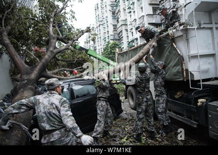 Soldati cinesi del PLA (Popolo della Esercito di Liberazione) Macao Garrison a portare via alberi sradicati dal forte vento causato dal tifone Hato su una strada in Mac Foto Stock