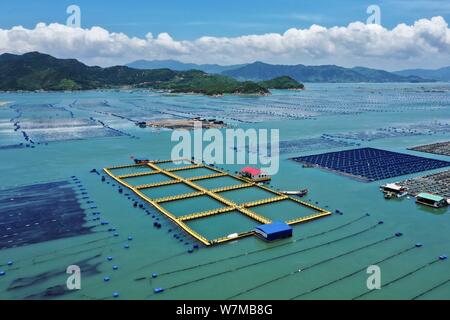 (190807) -- PECHINO, 7 Agosto, 2019 (Xinhua) -- Foto aeree prese sulla luglio 17, 2019 mostra l'allevamento di pesci zattera fatta di nuovi materiali in Xiahu township di Xiapu County, a sud-est della Cina di provincia del Fujian. La Cina del settore agricoltura ha visto una rapida crescita negli ultimi 70 anni, con grano di espansione di uscita 4,8 volte, secondo una relazione dell'Ufficio Nazionale di Statistica (NBS). Della Cina di uscita della granella è cresciuta a un tasso medio annuo del 2,6 per cento a partire dal 1949 per raggiungere 658 miliardi di kg nel 2018, la gestione di alimentazione di circa il 20 per cento della popolazione mondiale con solo meno del 9 percento del mondo ar Foto Stock