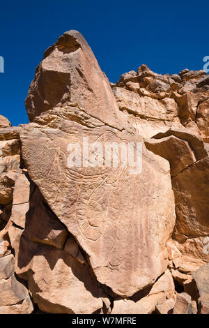 Incisioni rupestri di un elefante a Wadi Mathendous, Wadi Barjuj, deserto pietroso, Libia, sahara Africa del Nord, novembre 2007 Foto Stock