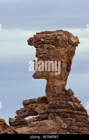 Profilo di faccia di formazione di roccia, deserto pietroso, Tassili Maridet, Libia, Nord Africa, Dicembre 2007 Foto Stock