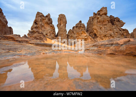 Deserto pietroso dopo la doccia a pioggia, Tassili Maridet, Libia, Nord Africa, Dicembre 2007 Foto Stock