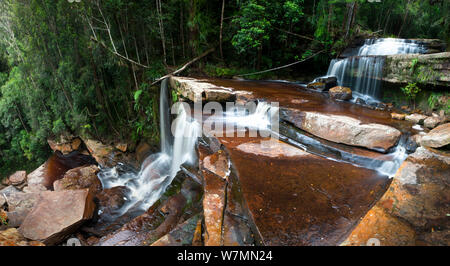 Gulik cade, il bordo del sud dell'altopiano, Maliau Basin Sabah del " Mondo Perduto", Borneo (Digitally cucito immagine) Foto Stock