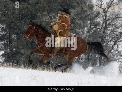 Cowboy al galoppo attraverso la neve, indossando spessi rivestire di pelle di pecora, Wyoming negli Stati Uniti, febbraio 2012, modello rilasciato Foto Stock