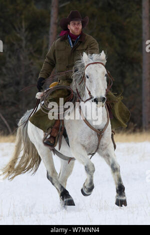 Montato cowboy a cavallo nella neve, Wyoming usa, modello rilasciato Foto Stock
