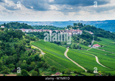 Germania, vista al di sopra infinite vigna verde natura paesaggio e alberi che circondano Stoccarda città distretto rotenberg su una collina in estate Foto Stock