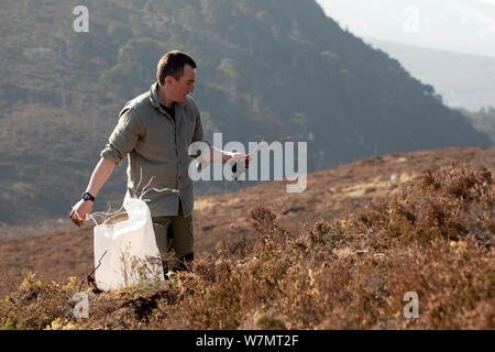 Uomo di piantare alberi nativi a Abernethy Forest, Cairngorms National Park, Scozia, marzo 2012. Foto Stock