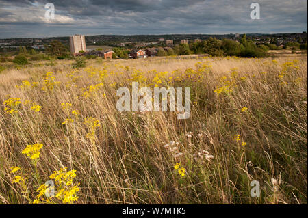 Viste dal Rowley colline attraverso greenspace a Dudley, Sandwell e Birmingham, West Midlands, Agosto 2011 Foto Stock