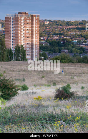 Viste dal Rowley colline attraverso greenspace a Dudley, Sandwell e Birmingham, West Midlands, Agosto 2011 Foto Stock