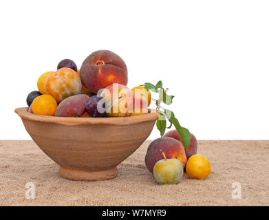 In vecchio stile heritage frutti da un lungo abbandonato frutteto antico recipiente di terracotta, su hessian. Foraged frutta naturale. Isolato su bianco dietro. Foto Stock