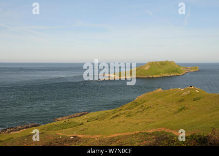 Panoramica della vite la testa tagliata fuori dal continente come un isola ad alta marea, Rhossili, La Penisola di Gower, Wales, Regno Unito, Luglio. La sequenza 2 di 2, viste corrispondenti a differenti maree Foto Stock