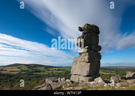 Bowerman del naso, Parco Nazionale di Dartmoor, Devon, Inghilterra, Regno Unito. Agosto 2011 Foto Stock