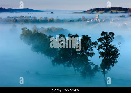 Una nebbiosa mattina autunnale, Milborne Port, sul Dorset / Somerset Border, England Regno Unito. Ottobre 2011. Foto Stock