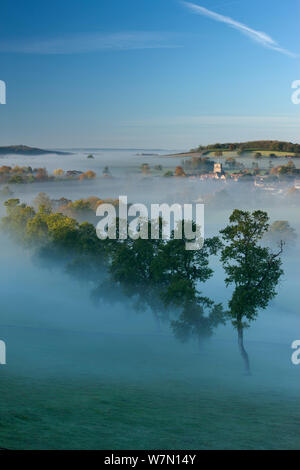 Una nebbiosa mattina autunnale, Milborne Port, sul Dorset / Somerset Border, England Regno Unito. Ottobre 2011. Foto Stock