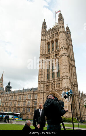 Il novellame di falco pellegrino (Falco peregrinus) battenti intorno le Case del Parlamento nel corso di un colloquio di notizie. Il centro di Londra, Luglio 2011 Foto Stock