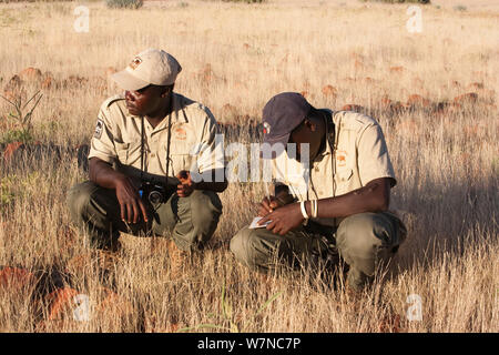 Salvare il Rhino Trust trackers, Erwin Karatjiva e Dansiekie Ganaseb, registrazione il rinoceronte nero di avvistamento, concessione di Palmwag, regione di Kunene, Namibia, maggio 2009. Solo uso editoriale Foto Stock