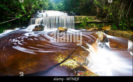 Gulik cade, il bordo del sud dell'altopiano, Maliau Basin. Sabah del " Mondo Perduto", Borneo, maggio 2011. Foto Stock