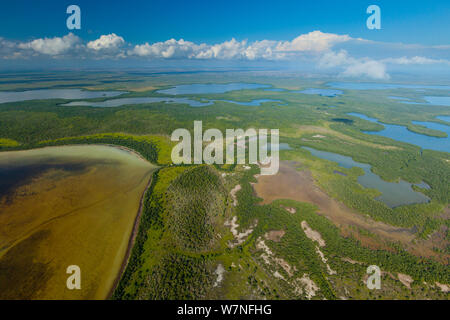 Veduta aerea subtropicale paludi di mangrovie del Parco nazionale delle Everglades. Florida, Stati Uniti d'America, febbraio 2012. Foto Stock